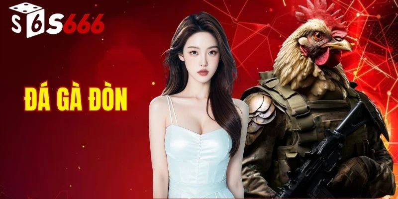 Đá Gà Đòn S666 - Đấu Trường Chọi Kê Truyền Thống Kịch Tính 4 đá gà đòn