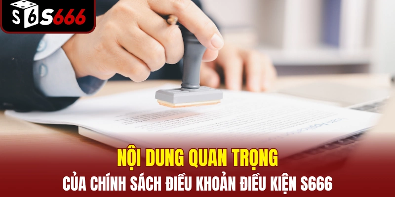 ĐIỀU KHOẢN ĐIỀU KIỆN 2 Nội dung quan trọng của chính sách điều khoản điều kiện S666
