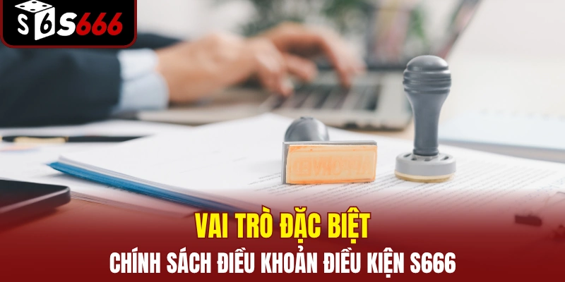 ĐIỀU KHOẢN ĐIỀU KIỆN 1 Vai trò của chính sách điều khoản điều kiện S666